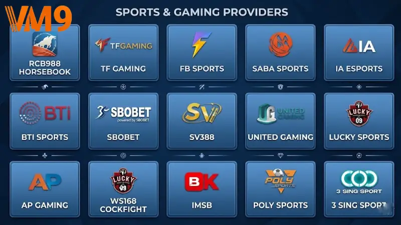 Overview of Elite Sports Betting Lobbies on VM9